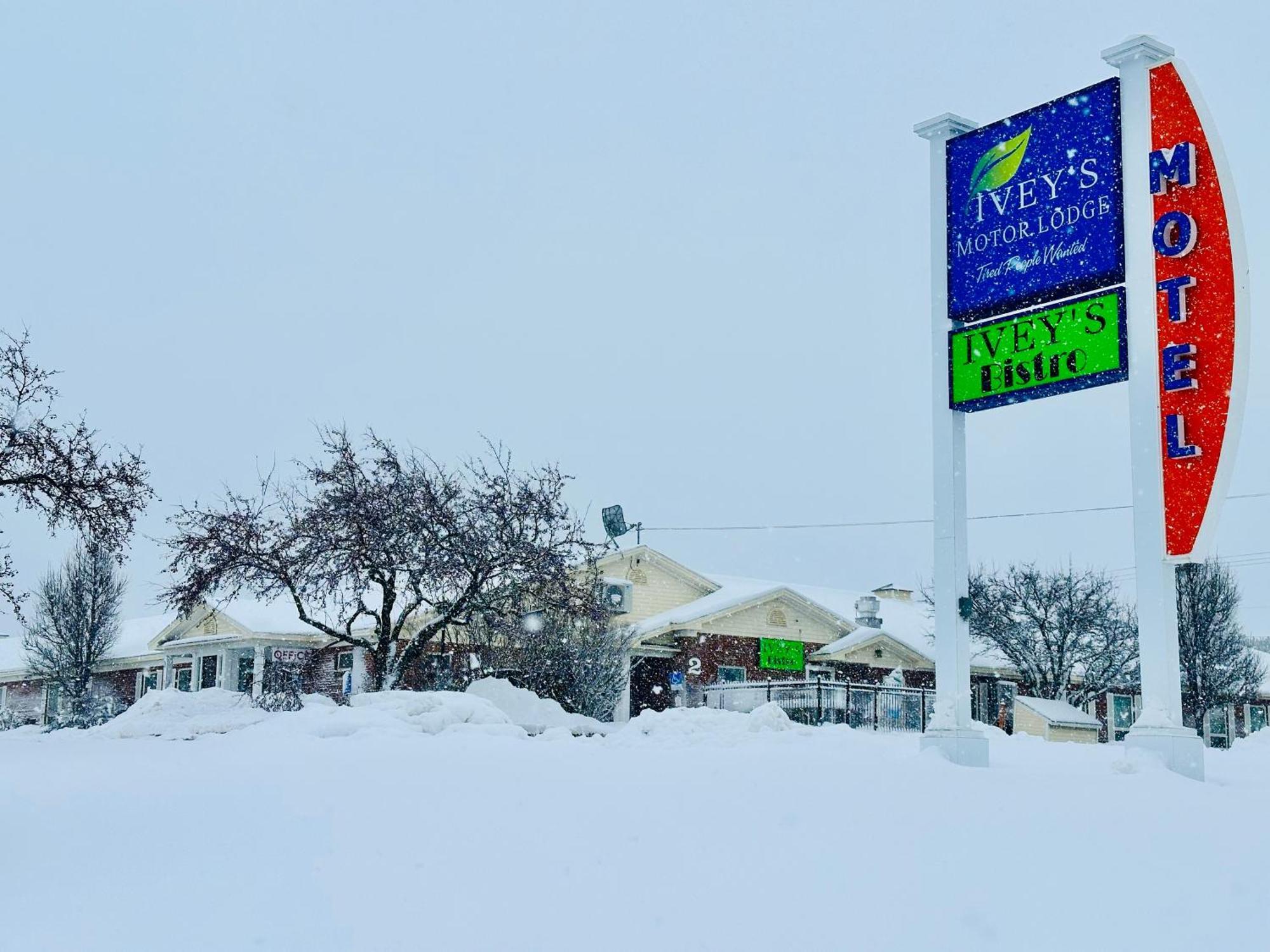 Houlton Ivey'S Motor Lodge מראה חיצוני תמונה